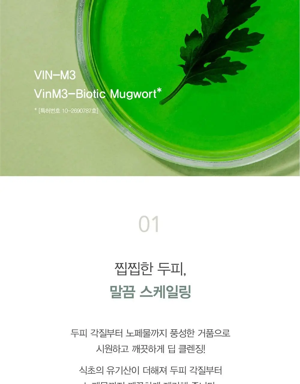 [즉각쿨링/찰랑모발] 원오세븐 스칼프 쿨링 브리즈 샴푸 380ml 상세페이지 5